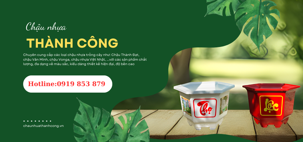 Châụ lục giắc in