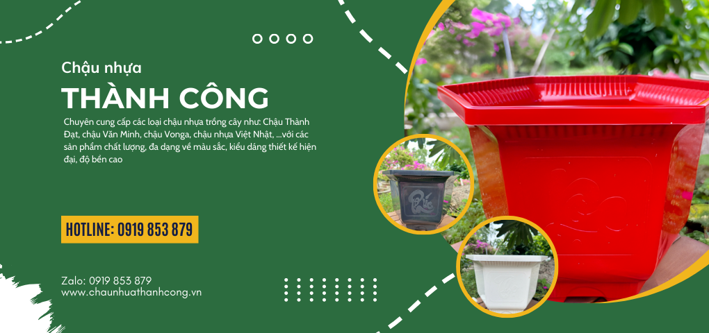 Chậu lục giác