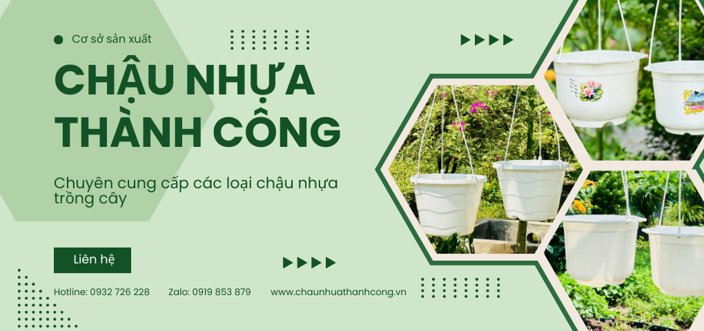 Chậu treo