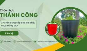 Tiêu đề video thực tế về sản phẩm nhựa thành công