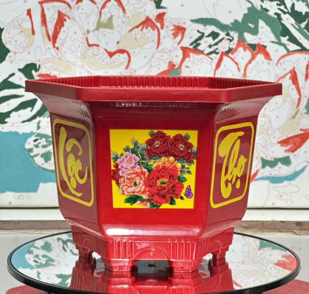 Tin tức Địa Chỉ Mua Chậu Lục Giác In Giá Tốt, Chất Lượng Cao