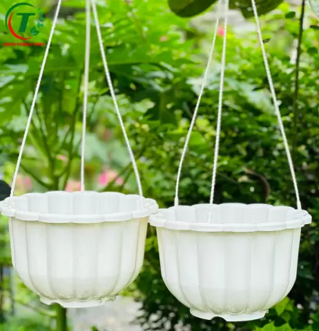 Sản phẩm CHẬU TREO BÍ GIÁ SỈ